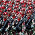 tni