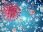 ilustrasi-virus1