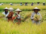 -sapta-usaha-tani-kesejahteraan-petani