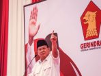 wowo dan gerindra