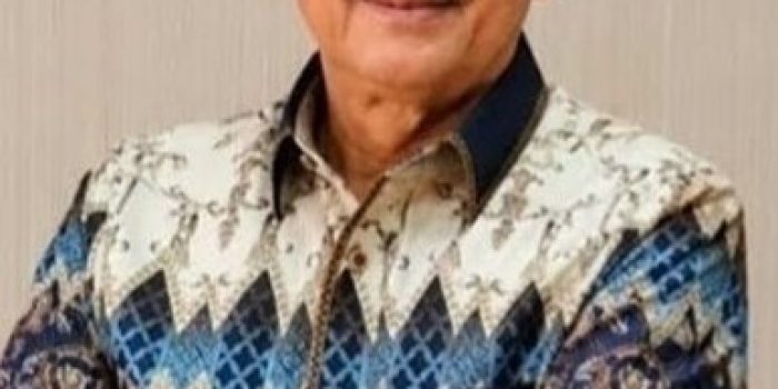 AMIR SANTOSO