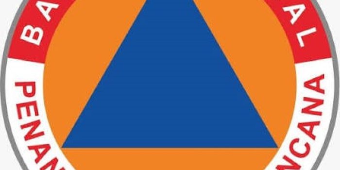 logo bnpb